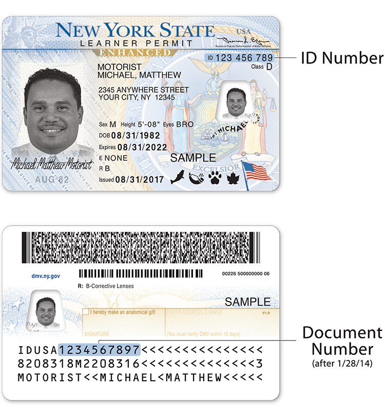 florida driver license number generator